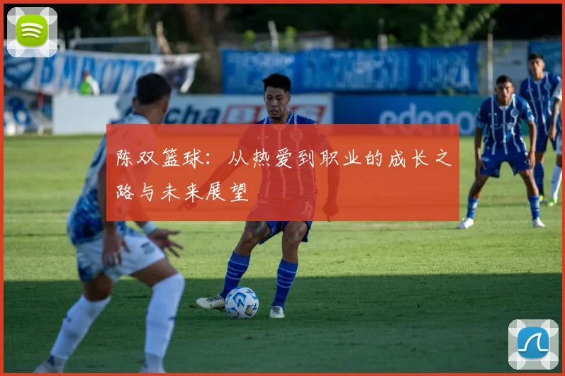 陈双篮球：从热爱到职业的成长之路与未来展望