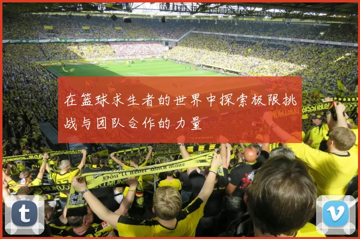 在篮球求生者的世界中探索极限挑战与团队合作的力量