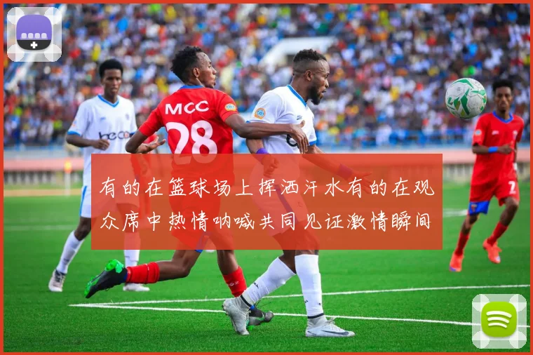 有的在篮球场上挥洒汗水有的在观众席中热情呐喊共同见证激情瞬间