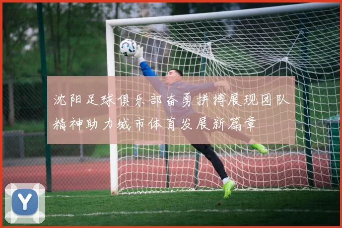 沈阳足球俱乐部奋勇拼搏展现团队精神助力城市体育发展新篇章