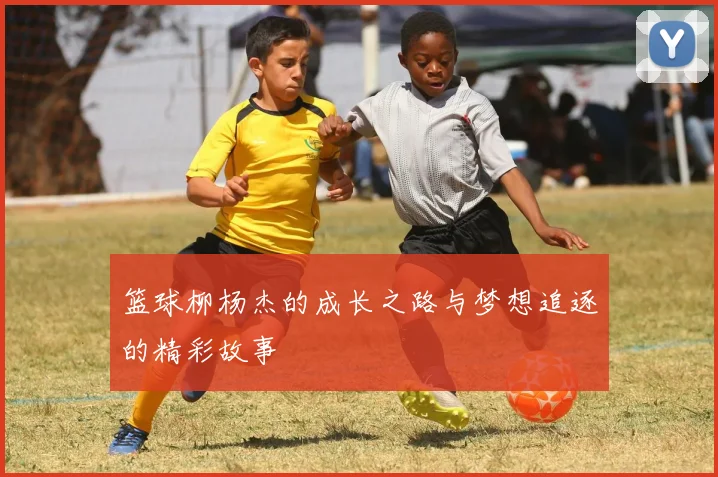 篮球柳杨杰的成长之路与梦想追逐的精彩故事