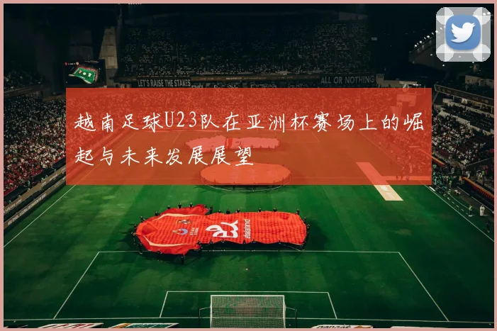 越南足球U23队在亚洲杯赛场上的崛起与未来发展展望